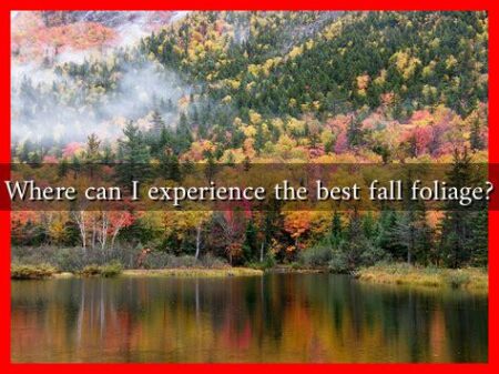 Where can I experience the best fall foliage?