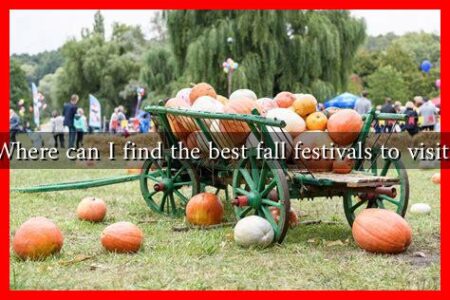 Where can I find the best fall festivals to visit?
