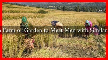 Where to Farm or Garden to Meet Men with Similar Interests