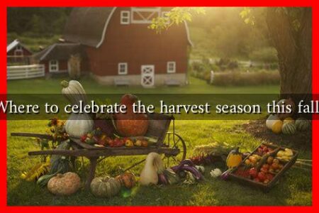 Where to celebrate the harvest season this fall?