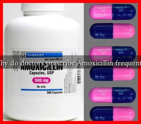 Why do doctors prescribe Amoxicillin frequently