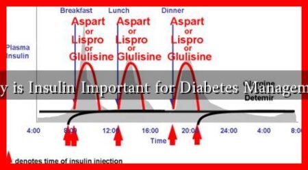 Why is Insulin Important for Diabetes Management Why is Insulin Important for Diabetes Management