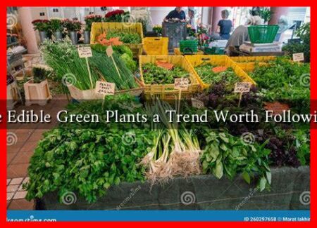 Are Edible Green Plants a Trend Worth Following?