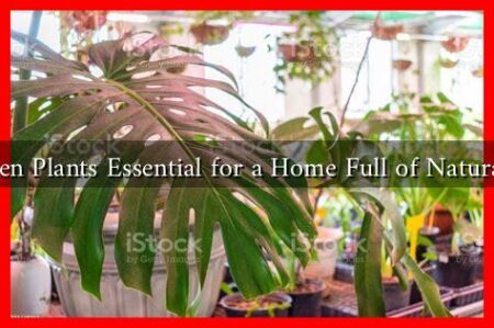 Are Green Plants Essential for a Home Full of Natural Light? Are Green Plants Essential for a Home Full of Natural Light?