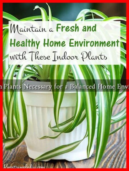Are Green Plants Necessary for a Balanced Home Environment?