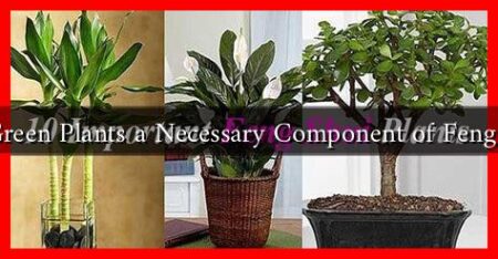 Are Green Plants a Necessary Component of Feng Shui?