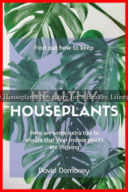 Are Houseplants Necessary for a Healthy Lifestyle?
