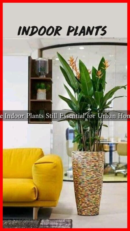 Are Indoor Plants Still Essential for Urban Homes