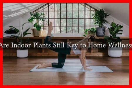 Are Indoor Plants Still Key to Home Wellness