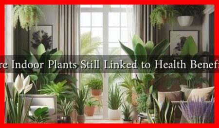 Are Indoor Plants Still Linked to Health Benefits Are Indoor Plants Still Linked to Health Benefits