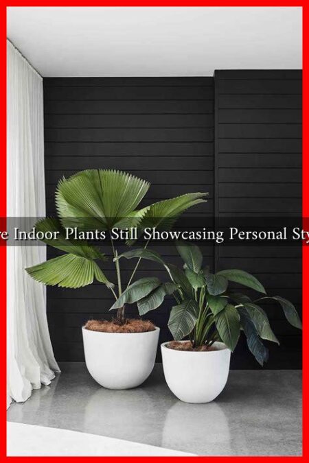 Are Indoor Plants Still Showcasing Personal Style