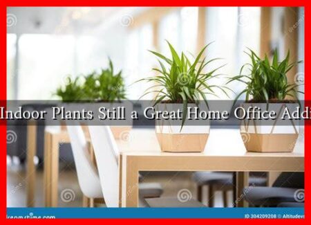 Are Indoor Plants Still a Great Home Office Addition Are Indoor Plants Still a Great Home Office Addition