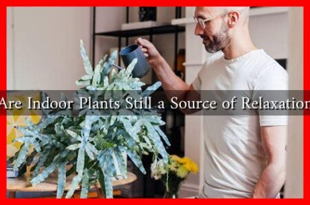 Are Indoor Plants Still a Source of Relaxation