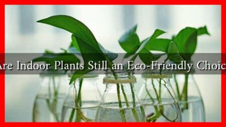 Are Indoor Plants Still an Eco-Friendly Choice