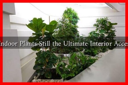 Are Indoor Plants Still the Ultimate Interior Accessory