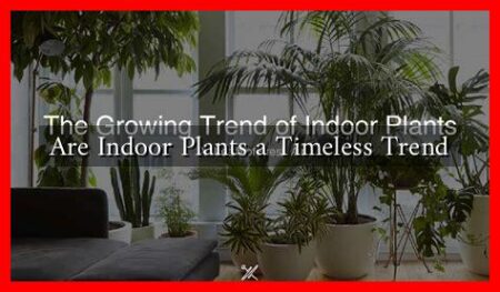 Are Indoor Plants a Timeless Trend