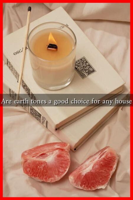 Are earth tones a good choice for any house Are earth tones a good choice for any house