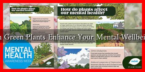 Can Green Plants Enhance Your Mental Wellbeing?
