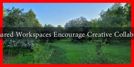 Can Shared Workspaces Encourage Creative Collaboration Can Shared Workspaces Encourage Creative Collaboration