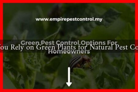 Can You Rely on Green Plants for Natural Pest Control?