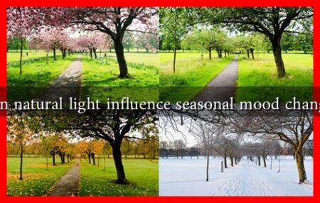 Can natural light influence seasonal mood changes