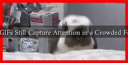 Do GIFs Still Capture Attention in a Crowded Feed?