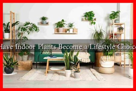 Have Indoor Plants Become a Lifestyle Choice Have Indoor Plants Become a Lifestyle Choice
