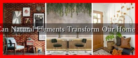 How Can Natural Elements Transform Our Home Decor? How Can Natural Elements Transform Our Home Decor?
