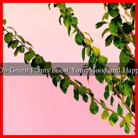 How Do Green Plants Boost Your Mood and Happiness? How Do Green Plants Boost Your Mood and Happiness?