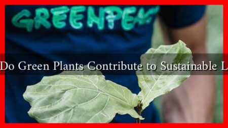 How Do Green Plants Contribute to Sustainable Living? How Do Green Plants Contribute to Sustainable Living?