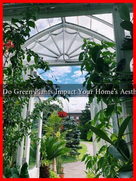 How Do Green Plants Impact Your Home's Aesthetic?
