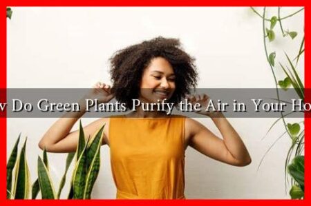 How Do Green Plants Purify the Air in Your Home?