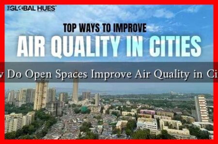 How Do Open Spaces Improve Air Quality in Cities? How Do Open Spaces Improve Air Quality in Cities?