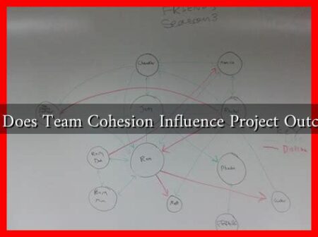 How Does Team Cohesion Influence Project Outcomes
