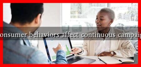 How do consumer behaviors affect continuous campaign success