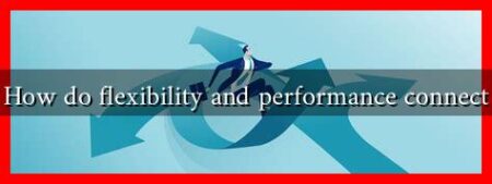 How do flexibility and performance connect How do flexibility and performance connect