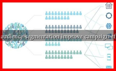 How does audience segmentation improve campaign effectiveness How does audience segmentation improve campaign effectiveness
