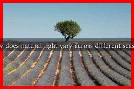 How does natural light vary across different seasons