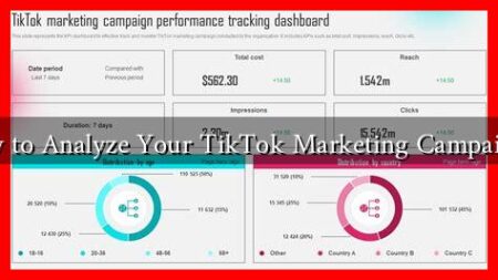 How to Analyze Your TikTok Marketing Campaigns? How to Analyze Your TikTok Marketing Campaigns?