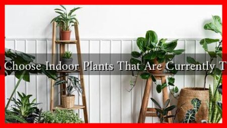 How to Choose Indoor Plants That Are Currently Trending