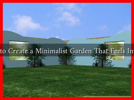 How to Create a Minimalist Garden That Feels Inviting