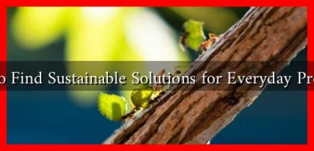 How to Find Sustainable Solutions for Everyday Problems How to Find Sustainable Solutions for Everyday Problems