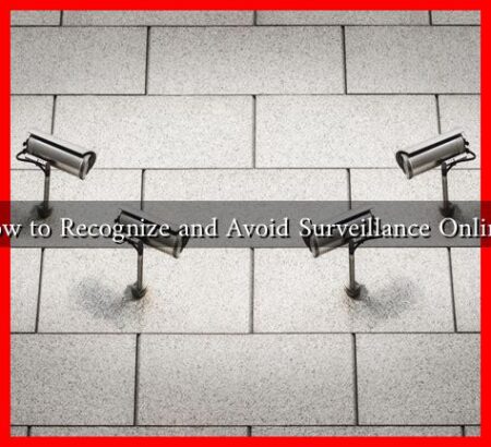 How to Recognize and Avoid Surveillance Online?