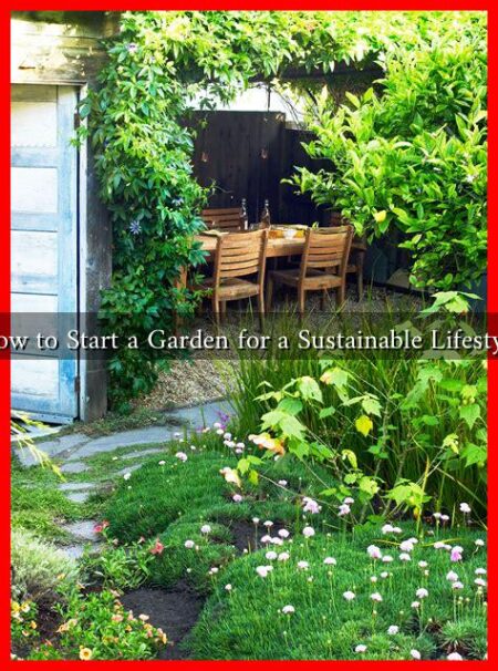How to Start a Garden for a Sustainable Lifestyle