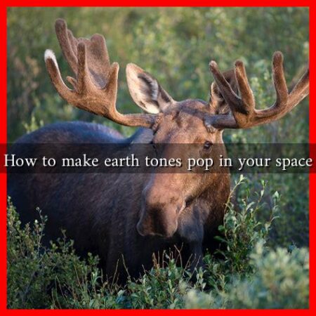How to make earth tones pop in your space