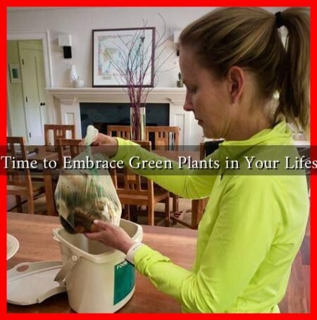 Is It Time to Embrace Green Plants in Your Lifestyle?