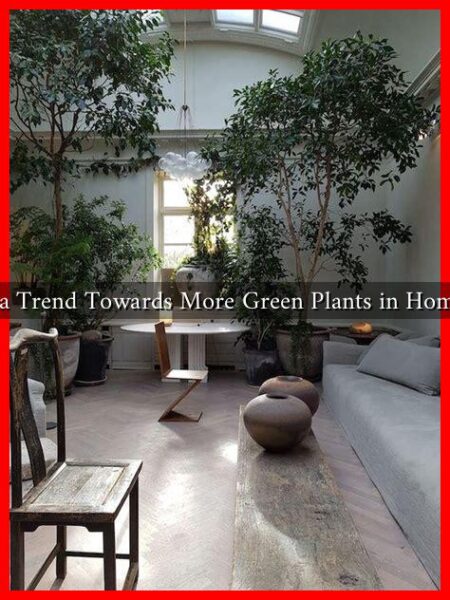 Is There a Trend Towards More Green Plants in Home Decor? Is There a Trend Towards More Green Plants in Home Decor?