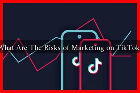What Are The Risks of Marketing on TikTok?