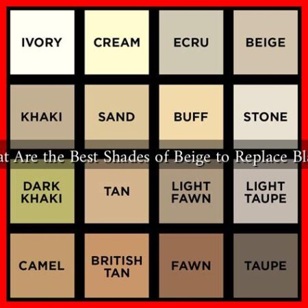What Are the Best Shades of Beige to Replace Black?