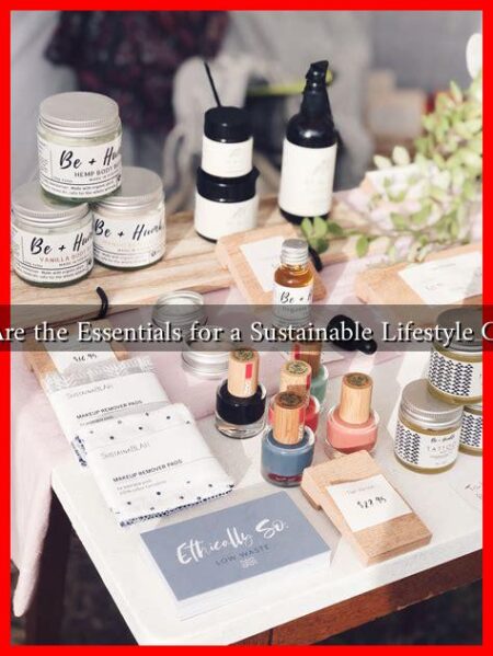 What Are the Essentials for a Sustainable Lifestyle Change?